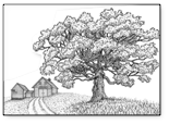 Essex County Coop